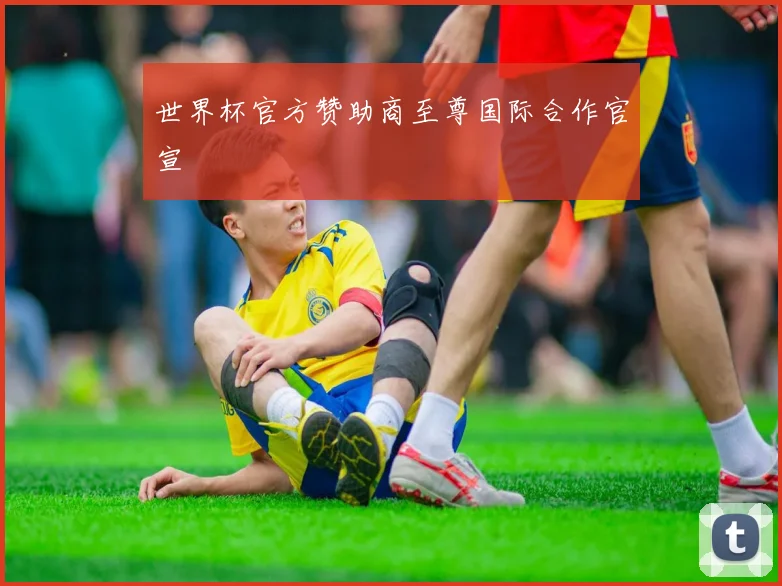 世界杯官方赞助商至尊国际合作官宣