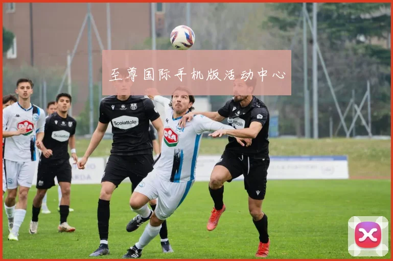 至尊国际手机版活动中心