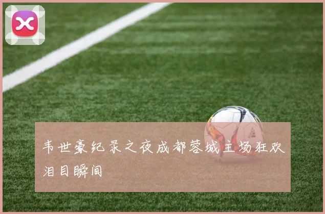 韦世豪纪录之夜成都蓉城主场狂欢泪目瞬间