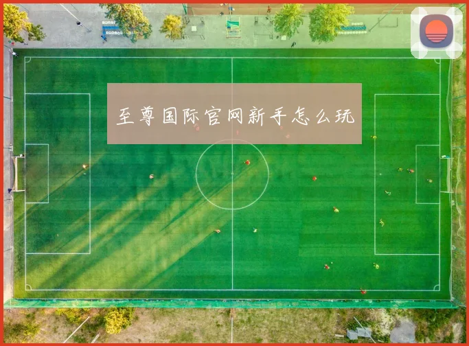 至尊国际官网新手怎么玩
