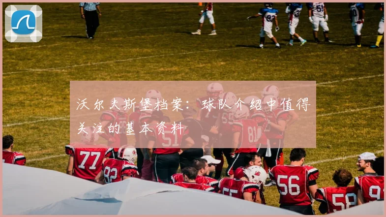 沃尔夫斯堡档案:球队介绍中值得关注的基本资料