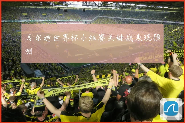 马尔迪世界杯小组赛关键战表现预测